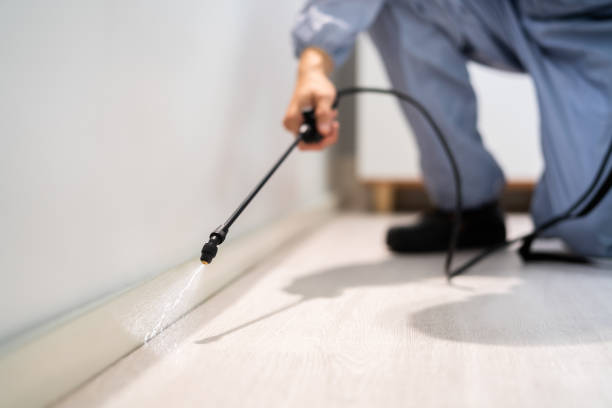 Licensed Fumigation Services service in Frazier Park, CA - Nex Pest Control