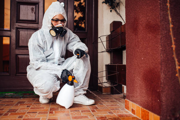 Reliable Fumigation Services contractor in Frazier Park, CA by Nex Pest Control