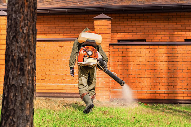 Top rated local Fumigation Services specialists in Frazier Park, CA